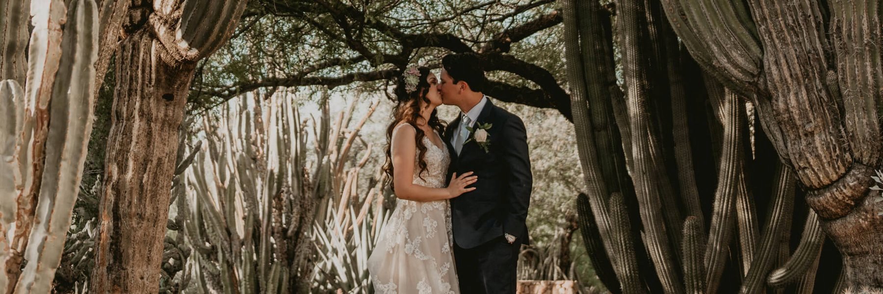 Desert Botanical Garden wedding venue