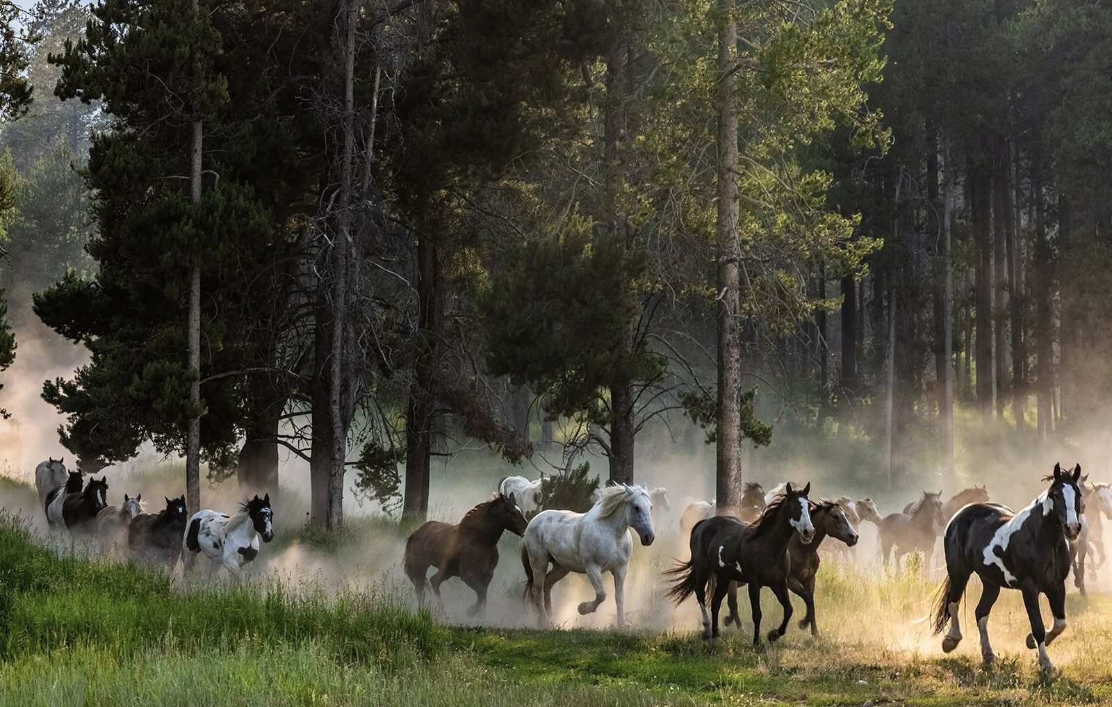 Snake River Ranch wedding venue